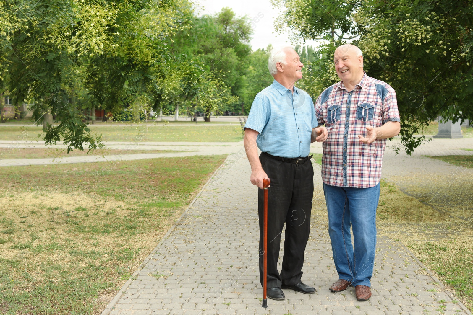 Photo of Elderly men spending time together in park