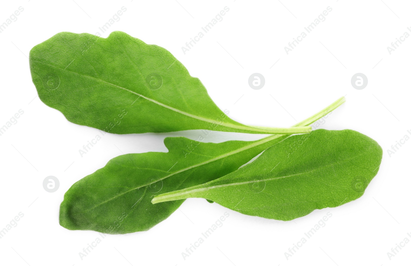 Photo of Fresh arugula on white background, top view