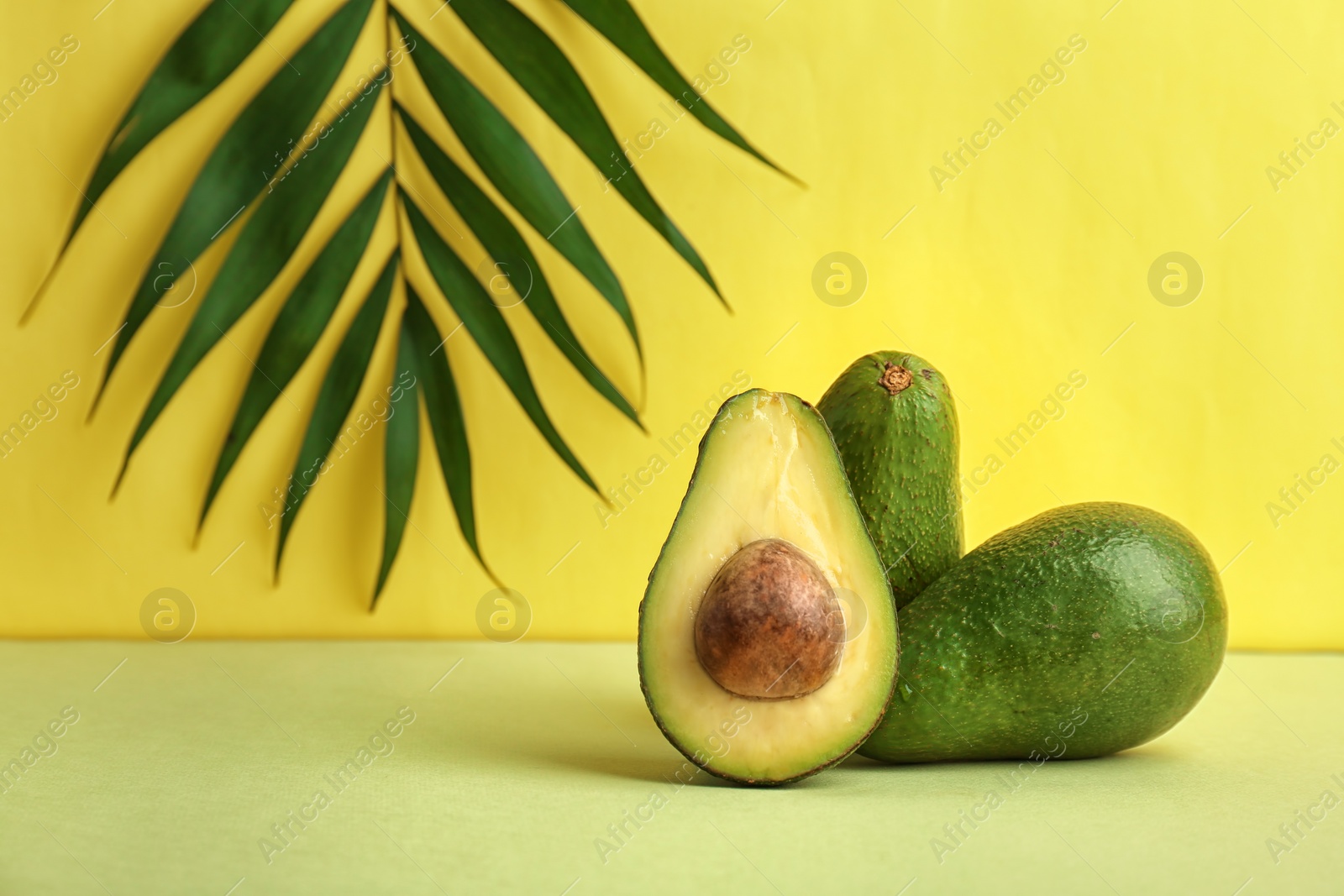 Photo of Composition with ripe avocados and tropical leaf on color background