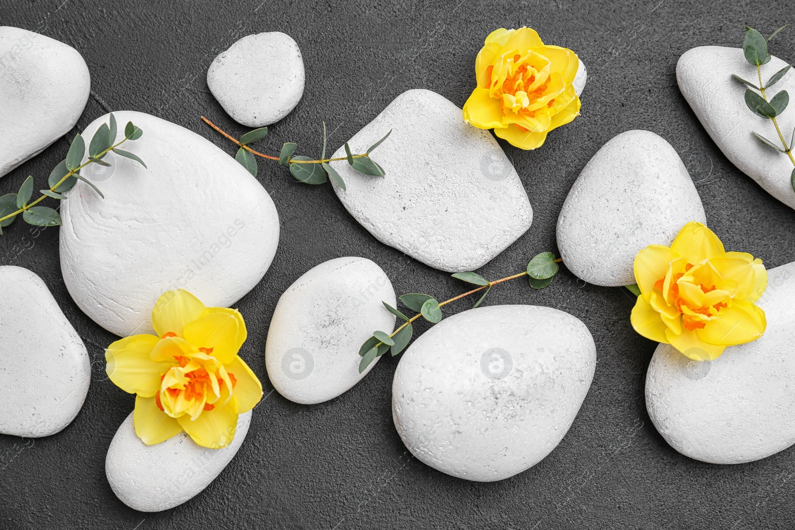 Photo of Spa stones and beautiful flowers on grey background