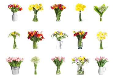 Set with beautiful flowers on white background