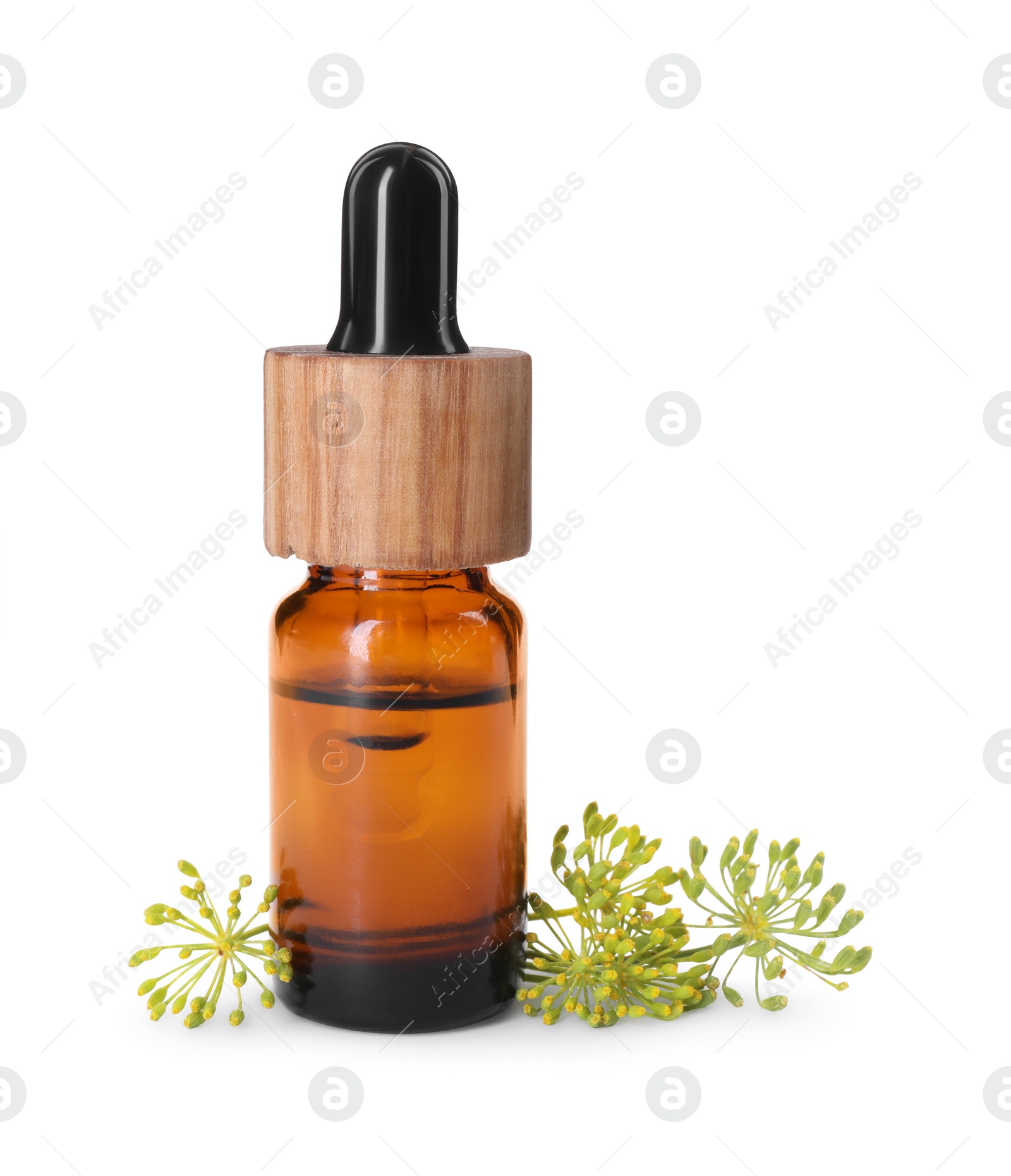 Photo of Bottle of essential oil and fresh dill isolated on white