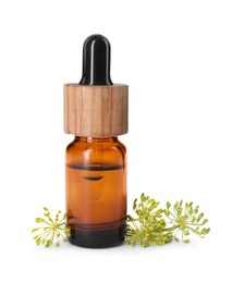 Bottle of essential oil and fresh dill isolated on white