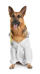 Cute dog in uniform with stethoscope as veterinarian on white background