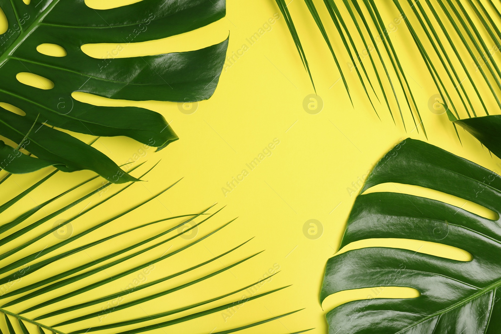 Photo of Flat lay composition with tropical leaves on color background