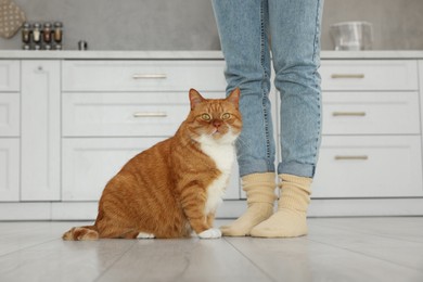 Photo of Woman with cute cat in kitchen at home, closeup