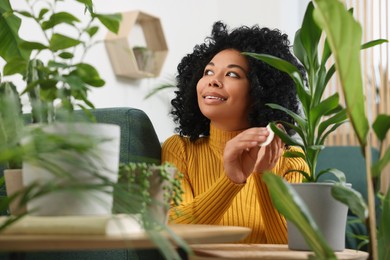 Photo of Happy woman wiping leafbeautiful potted houseplant at home