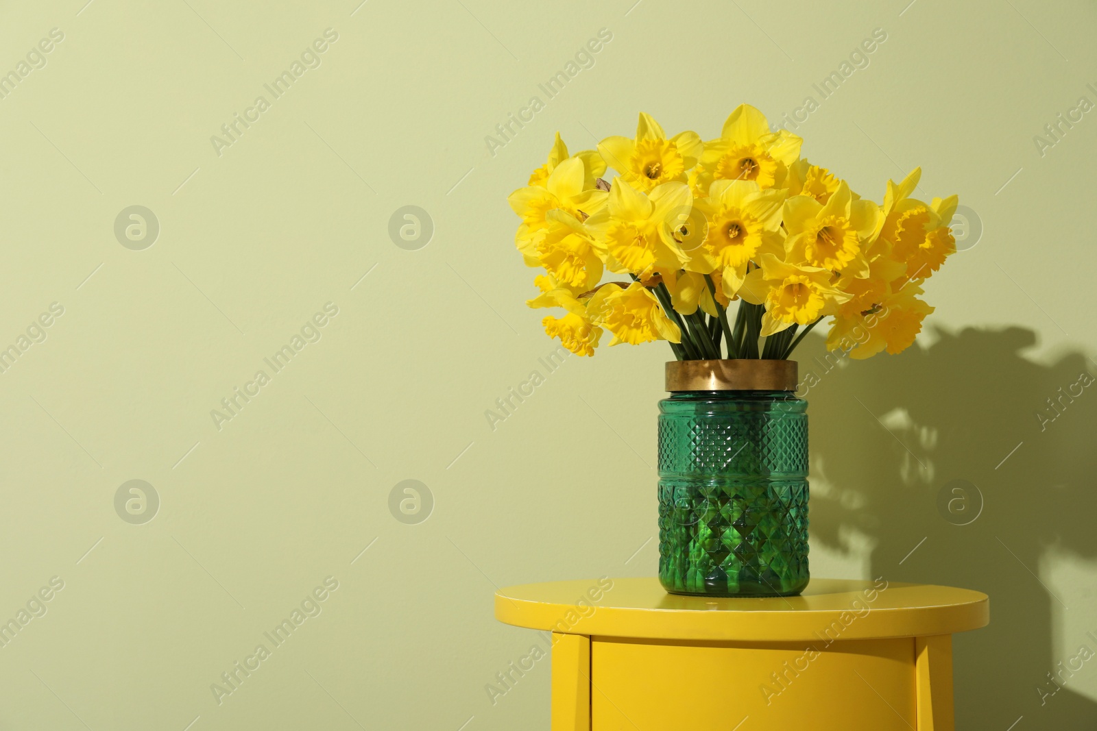 Photo of Beautiful daffodils in vase on table near light green wall, space for text