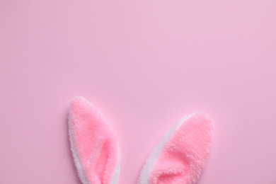 Photo of Easter bunny ears on pink background, top view. Space for text