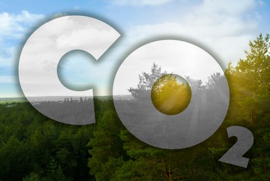 Image of Concept of clear air. CO2 inscription and beautiful forest on background