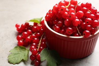 Delicious red currants and leaves on light grey table, closeup