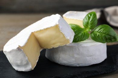 Photo of Tasty cut and whole brie cheeses with basil on black board, closeup