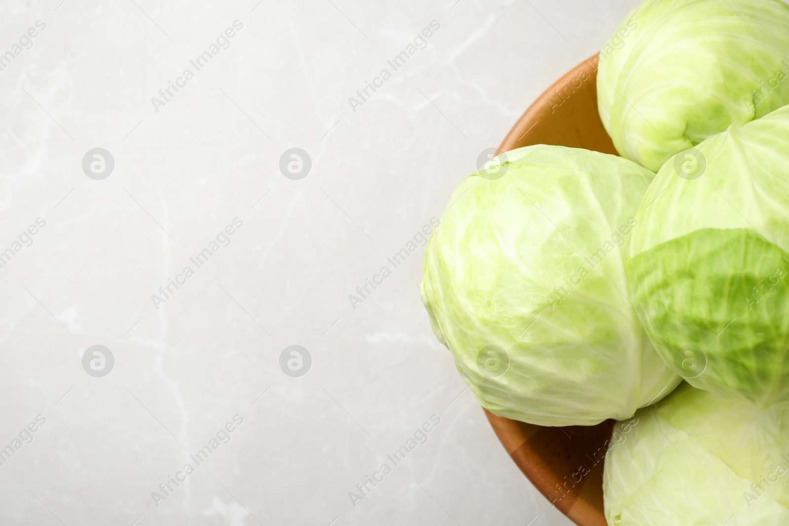 Photo of Ripe white cabbage on light marble table, top view. Space for text