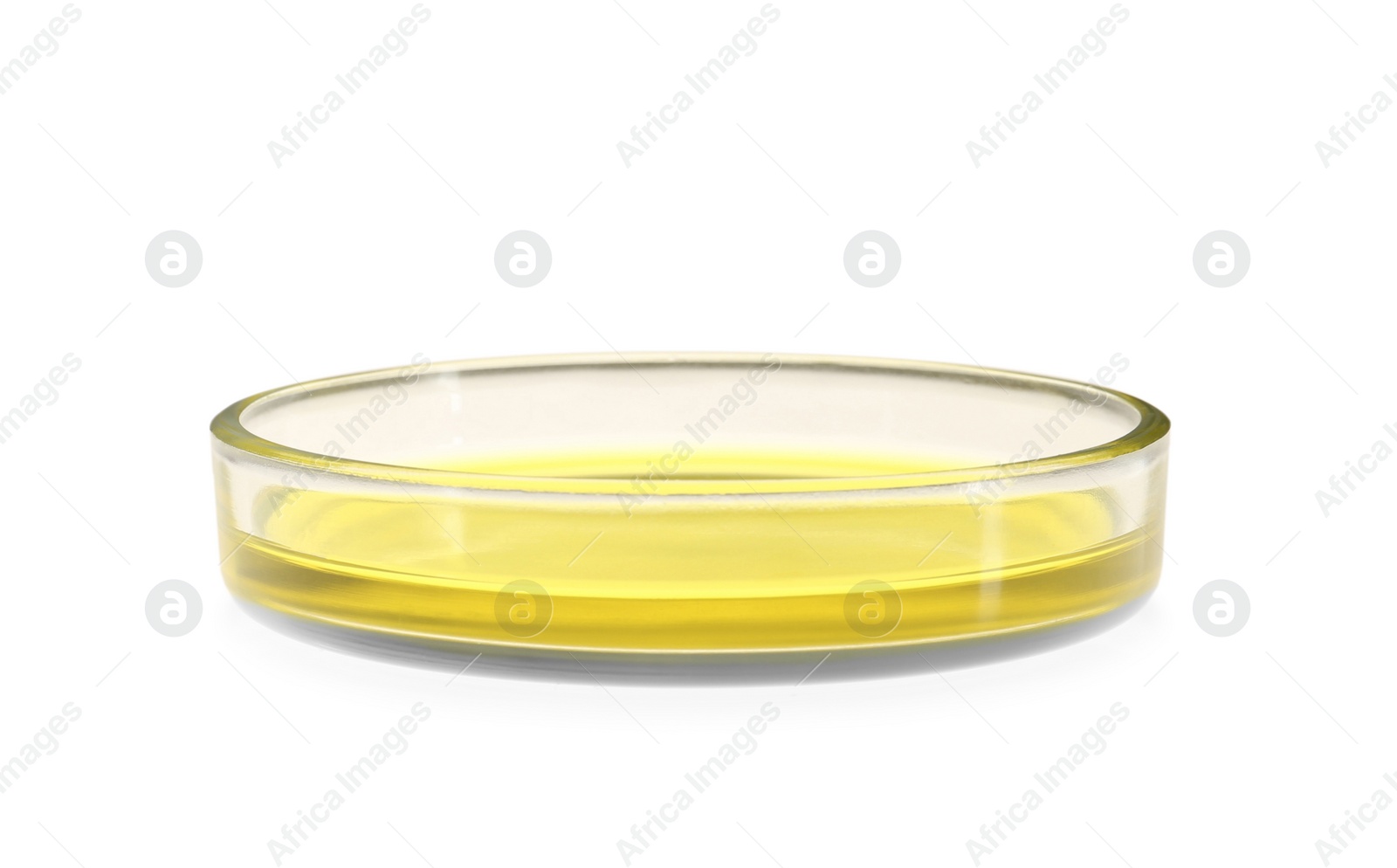 Photo of Petri dish with yellow liquid isolated on white