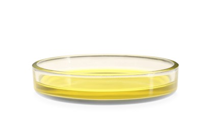 Petri dish with yellow liquid isolated on white