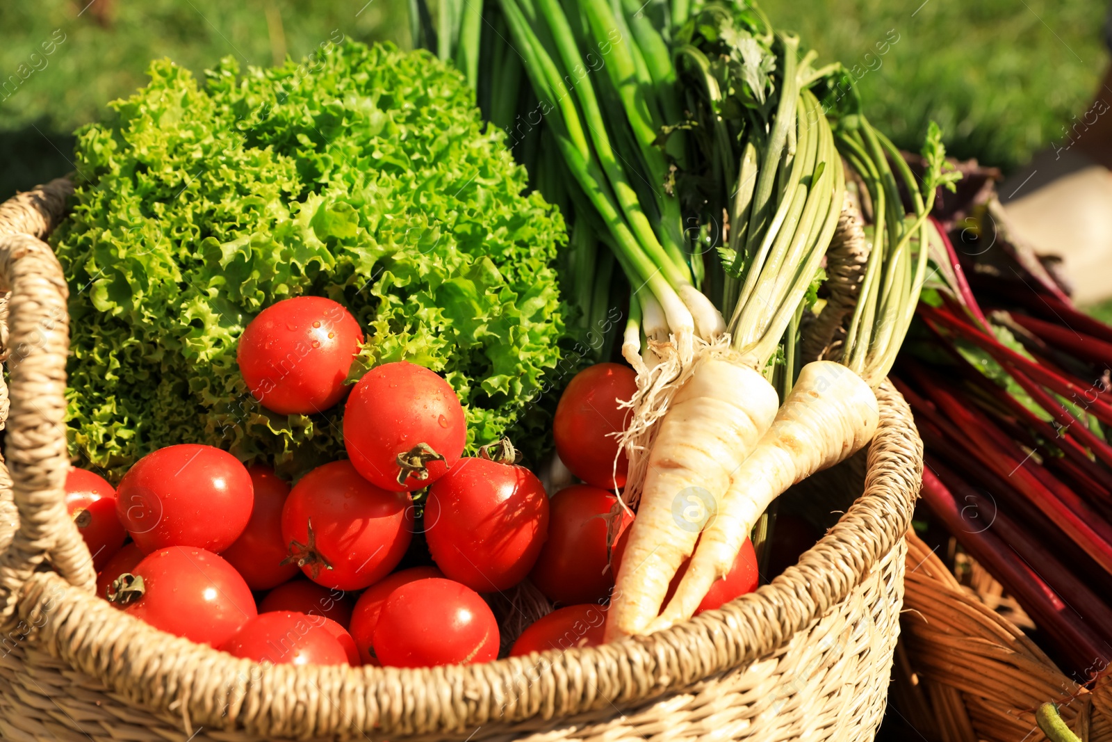 Photo of Different fresh ripe vegetables in wicker basket outdoors, closeup