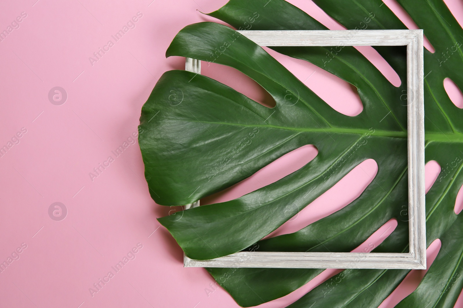 Photo of Flat lay composition with tropical leaves on color background