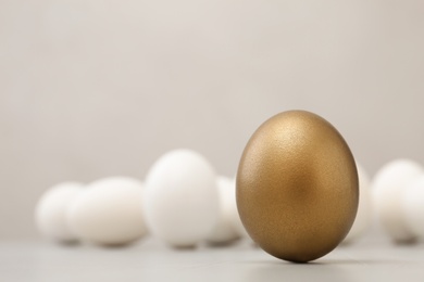 Photo of One golden egg on light background, space for text