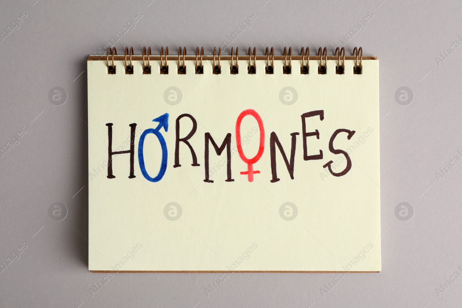 Photo of Notebook with word HORMONES on grey background, top view