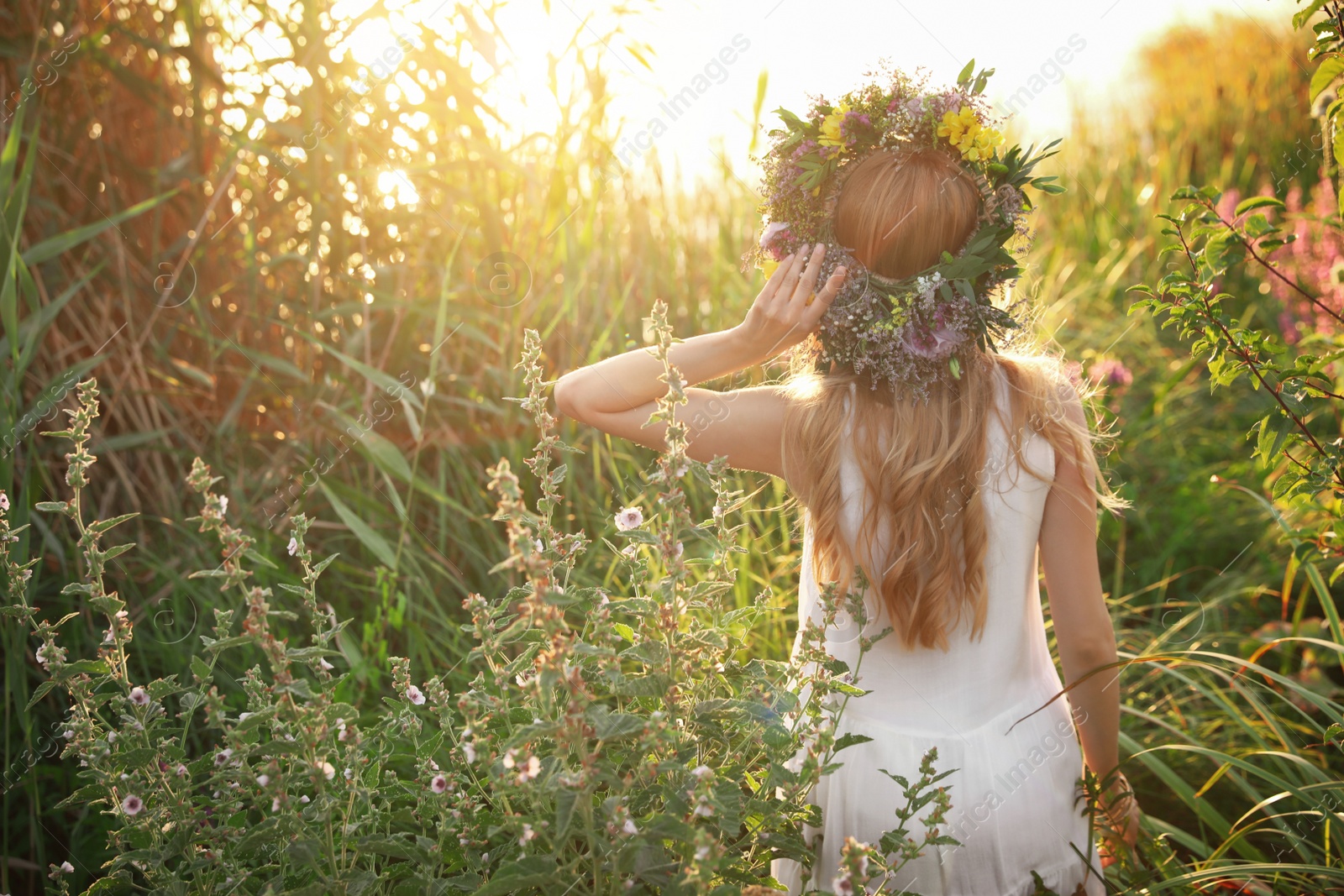 Photo of Young woman wearing wreath made of beautiful flowers outdoors on sunny day, back view