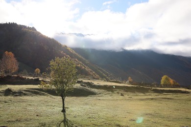 Picturesque view of mountain landscape with forest and meadow on autumn day