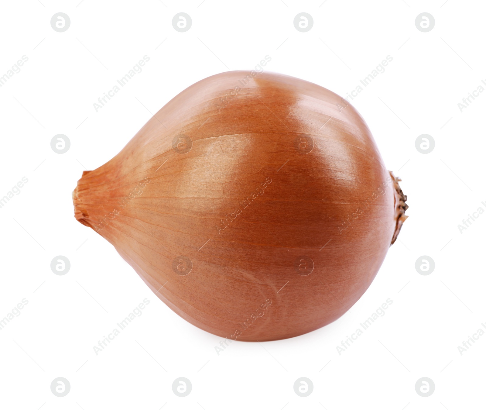 Photo of One yellow fresh onion isolated on white