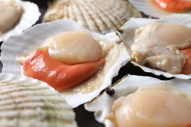 Photo of Fresh raw scallops with shells on table, closeup