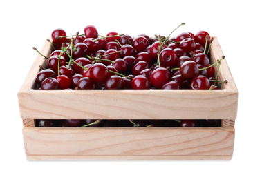 Sweet juicy cherries in crate on white background