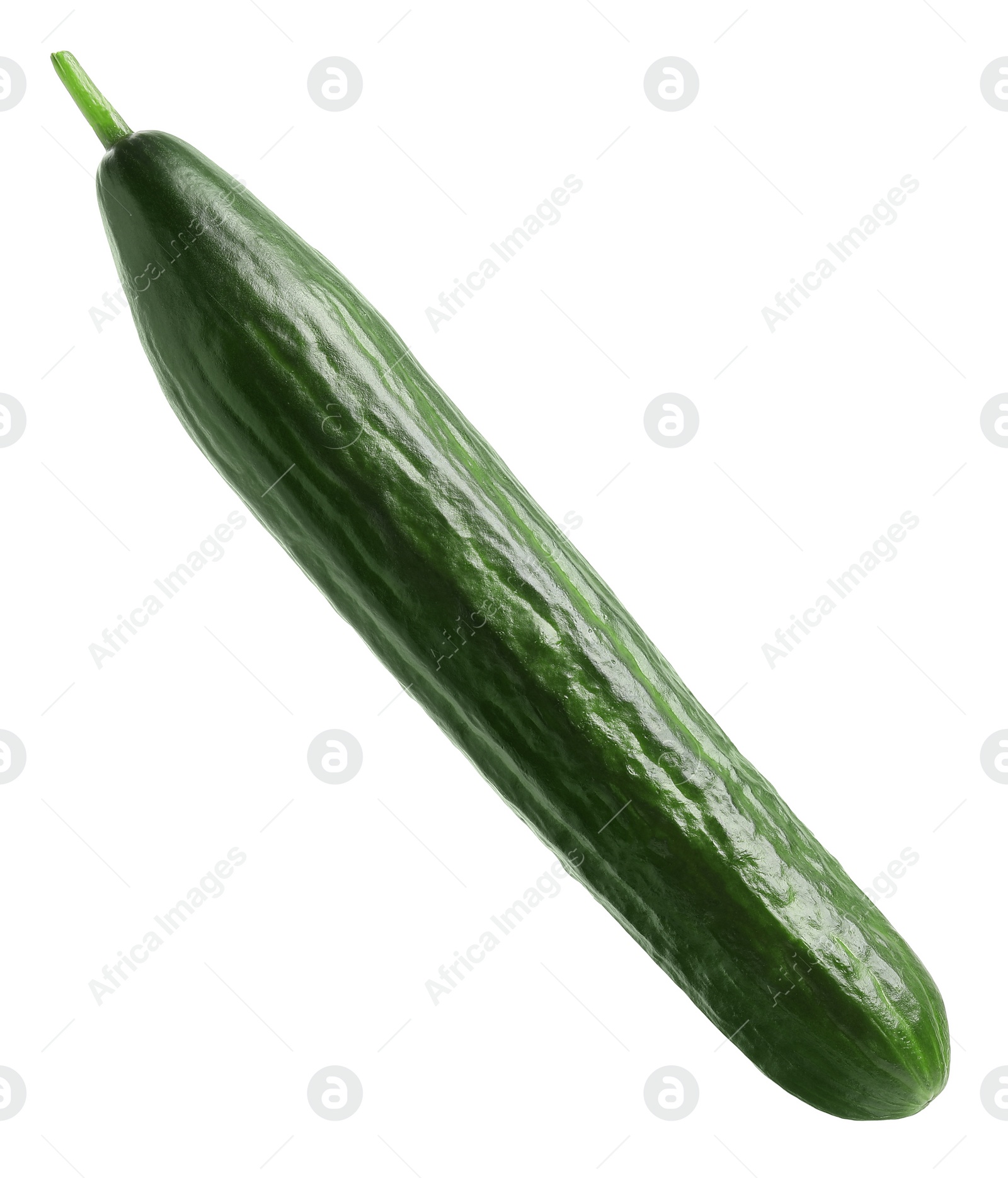 Photo of One long fresh cucumber isolated on white