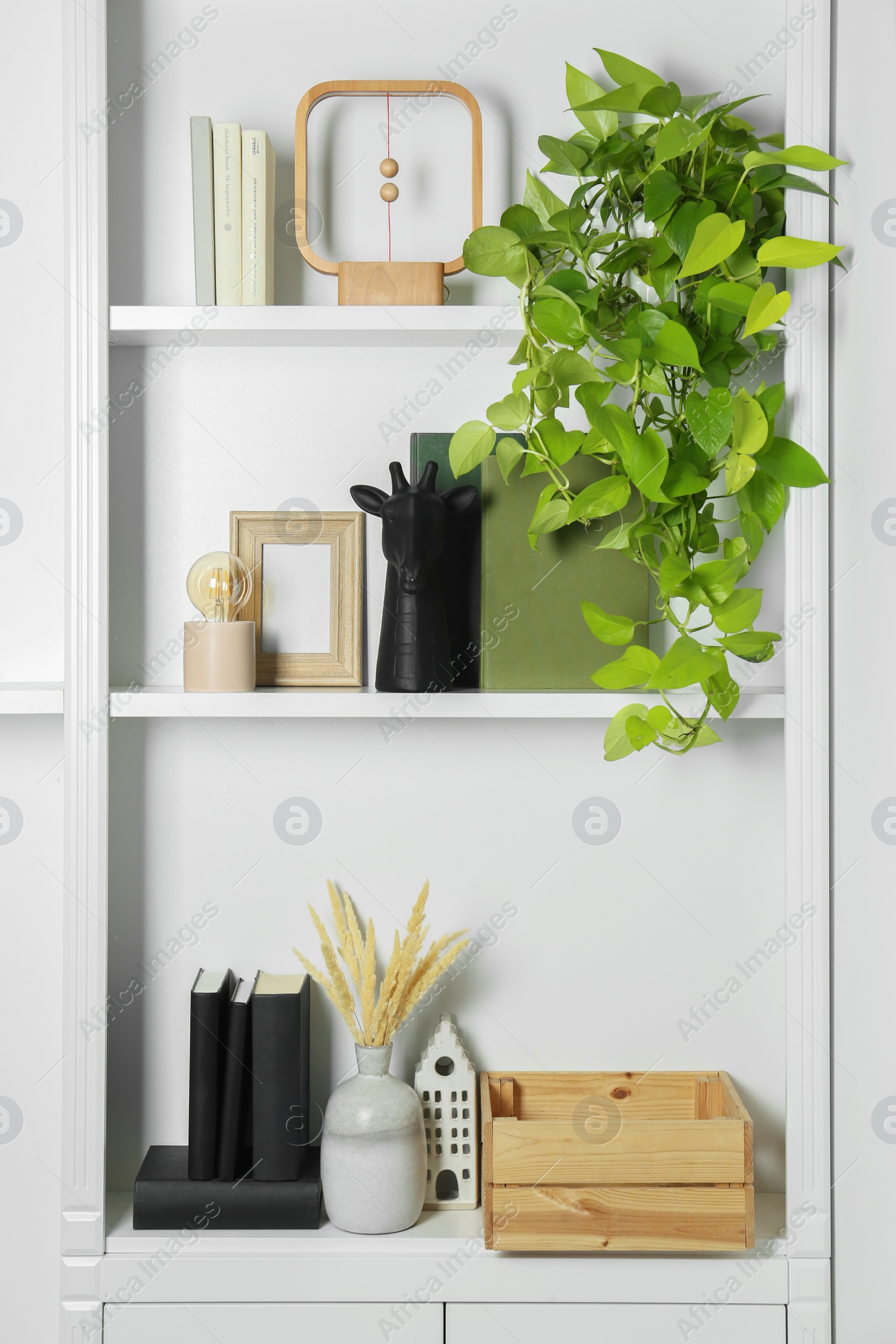 Photo of White shelves with books, plants and different decor indoors. Interior design