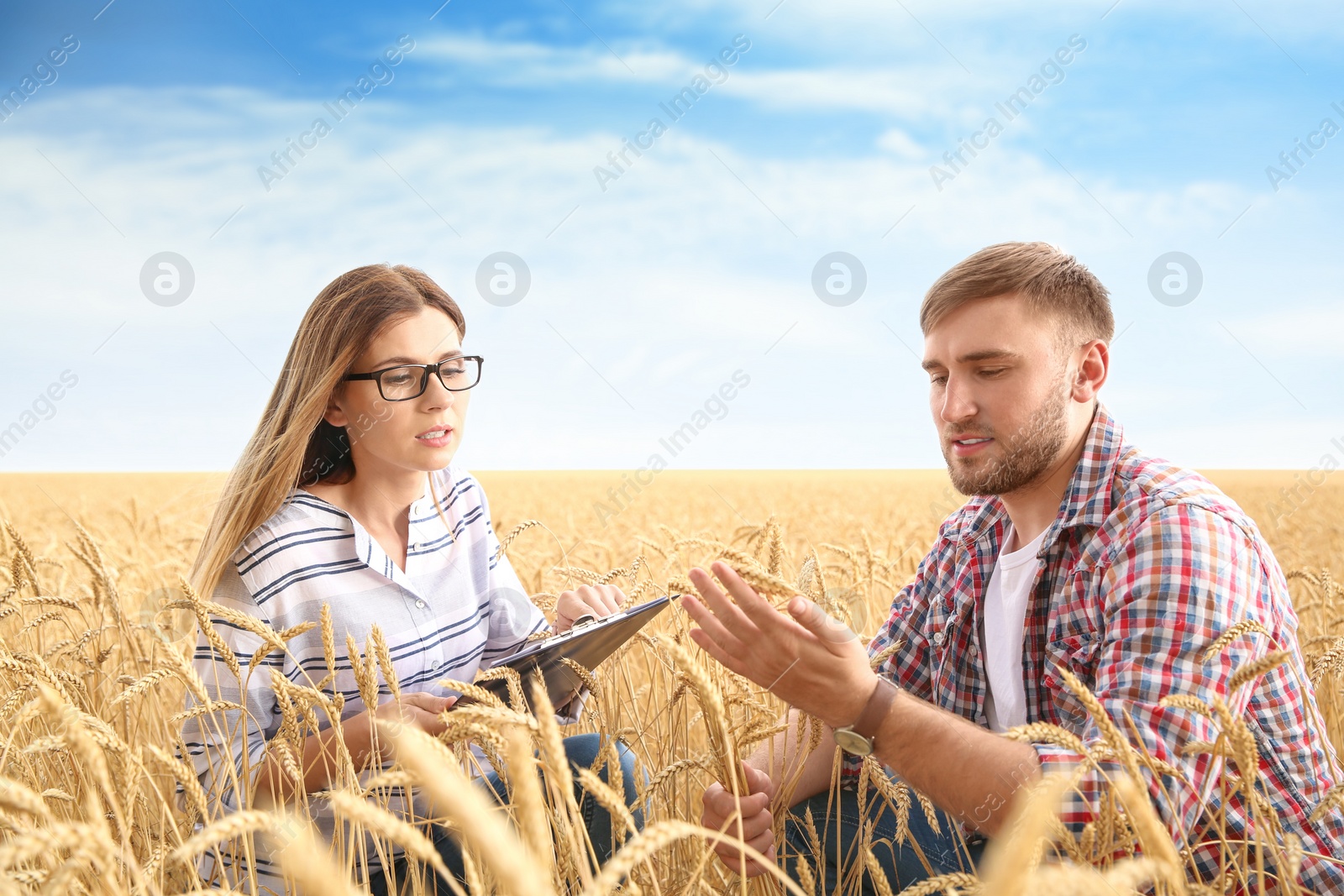 Photo of Young agronomists in grain field. Cereal farming