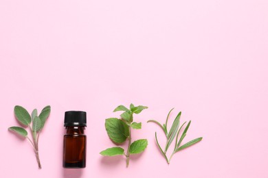 Bottle of essential oil, sage, rosemary and mint on pink background, flat lay. Space for text