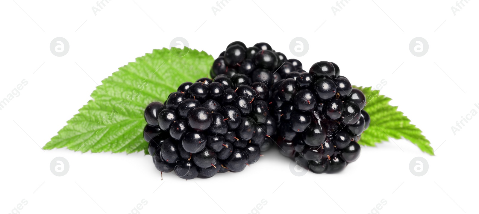 Photo of Tasty ripe blackberries and green leaves isolated on white