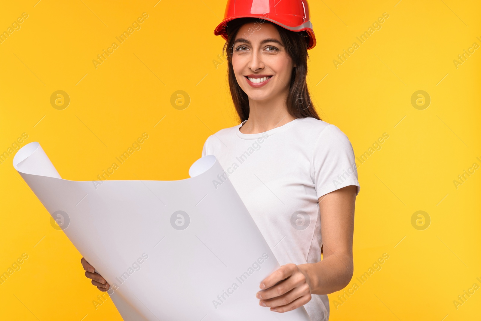 Photo of Architect in hard hat with draft on yellow background