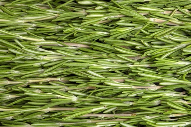 Fresh rosemary twigs as background