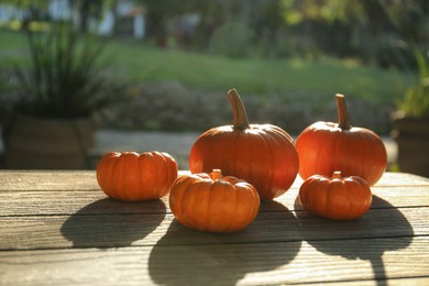 Many whole ripe pumpkins on wooden table outdoors