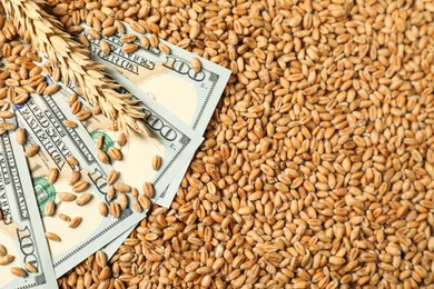 Photo of Dollar banknotes and wheat ear on grains, top view. Agricultural business
