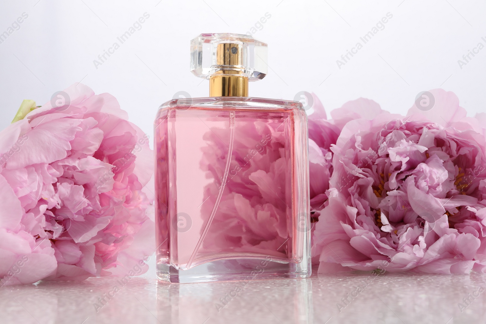 Photo of Luxury perfume and floral decor on plastic surface