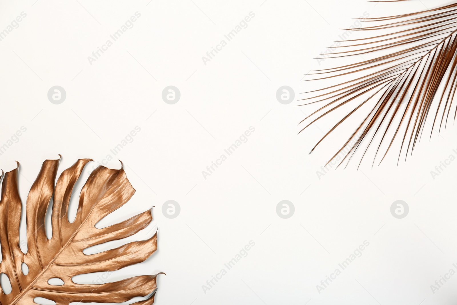 Photo of Painted Monstera and Date palm tropical leaves with space for text on white background, top view