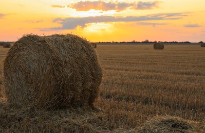 Photo of Beautiful view of agricultural field with hay bales at sunset