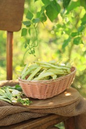 Photo of Wicker basket with fresh green beans on wooden chair in garden