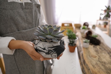Photo of Woman with beautiful potted succulent indoors, closeup