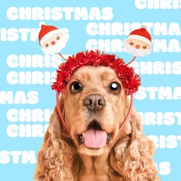 Cute dog with xmas headband and big eyes on light blue background with words Christmas