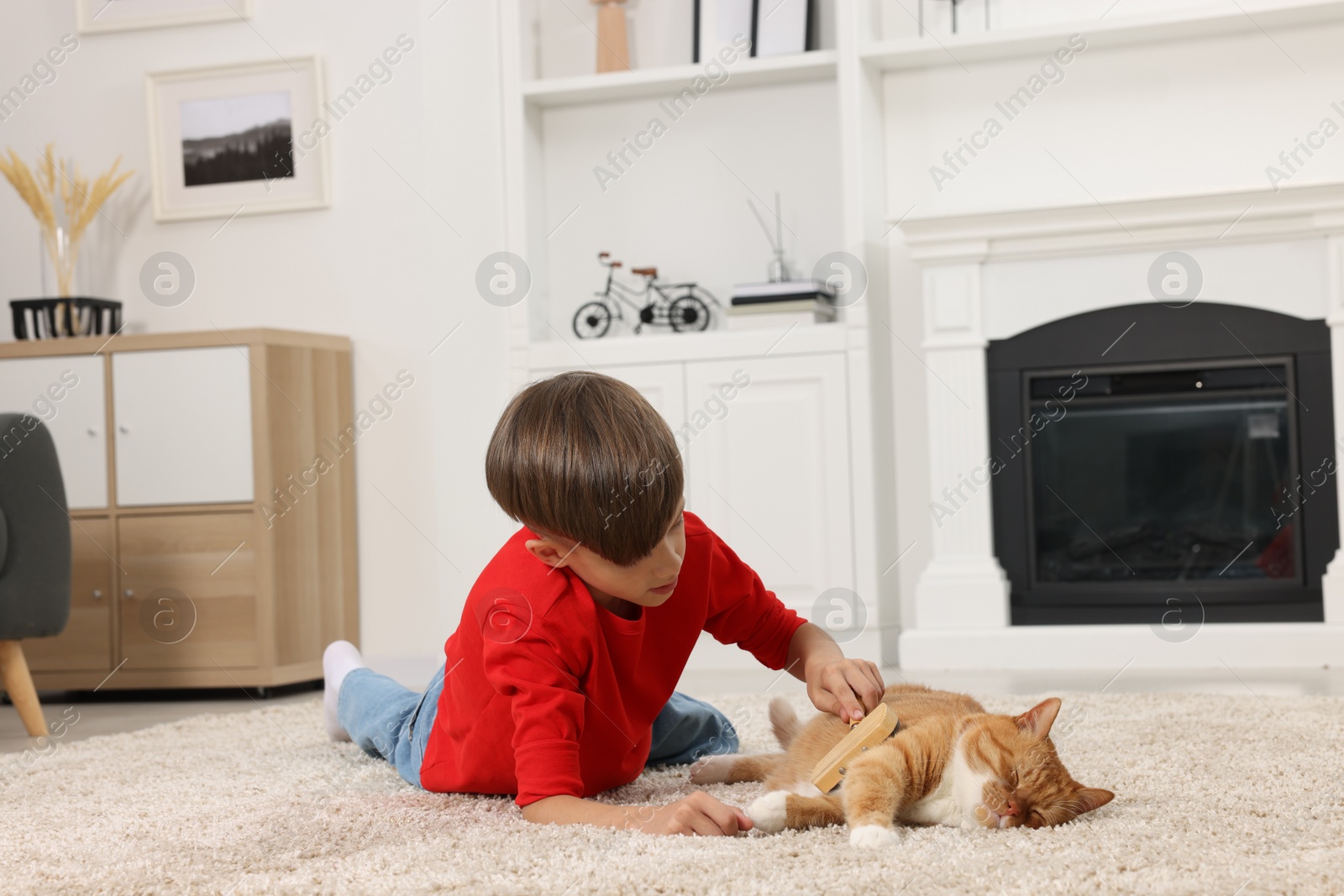 Photo of Little boy brushing cute ginger cat's fur on soft carpet at home