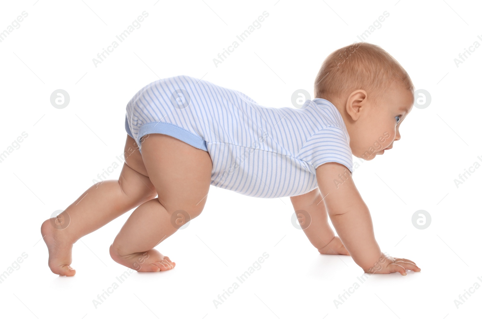 Photo of Cute little baby boy crawling on white background