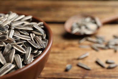 Raw sunflower seeds in bowl, closeup. Space for text
