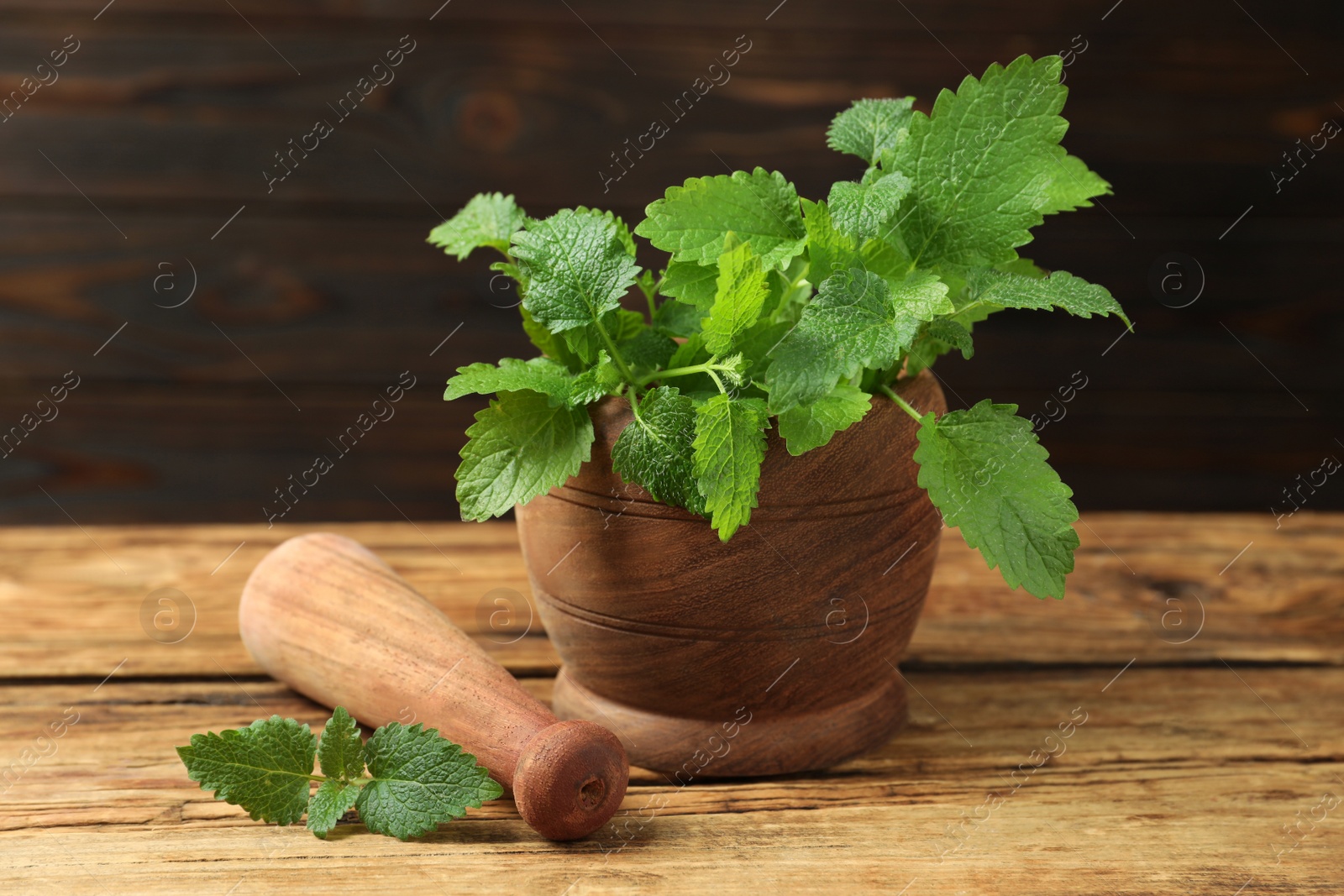 Photo of Mortar with pestle and fresh green lemon balm leaves on wooden, closeup