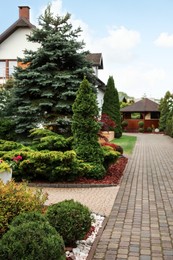 Picturesque view of beautiful garden and paved pathway on sunny day