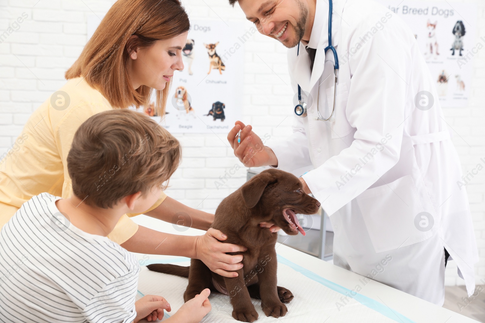 Photo of Mother and son with their pet visiting veterinarian in clinic. Doc vaccinating Labrador puppy