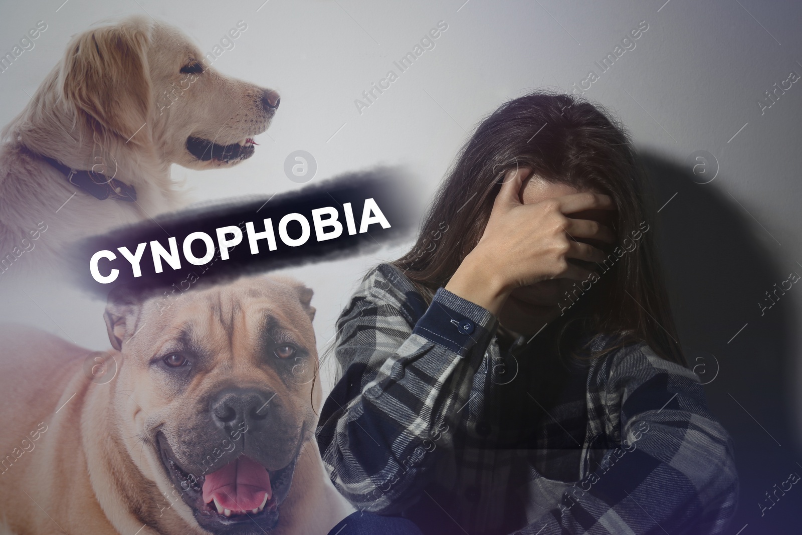 Image of Scared young woman suffering from cynophobia on white background. Irrational fear of dogs